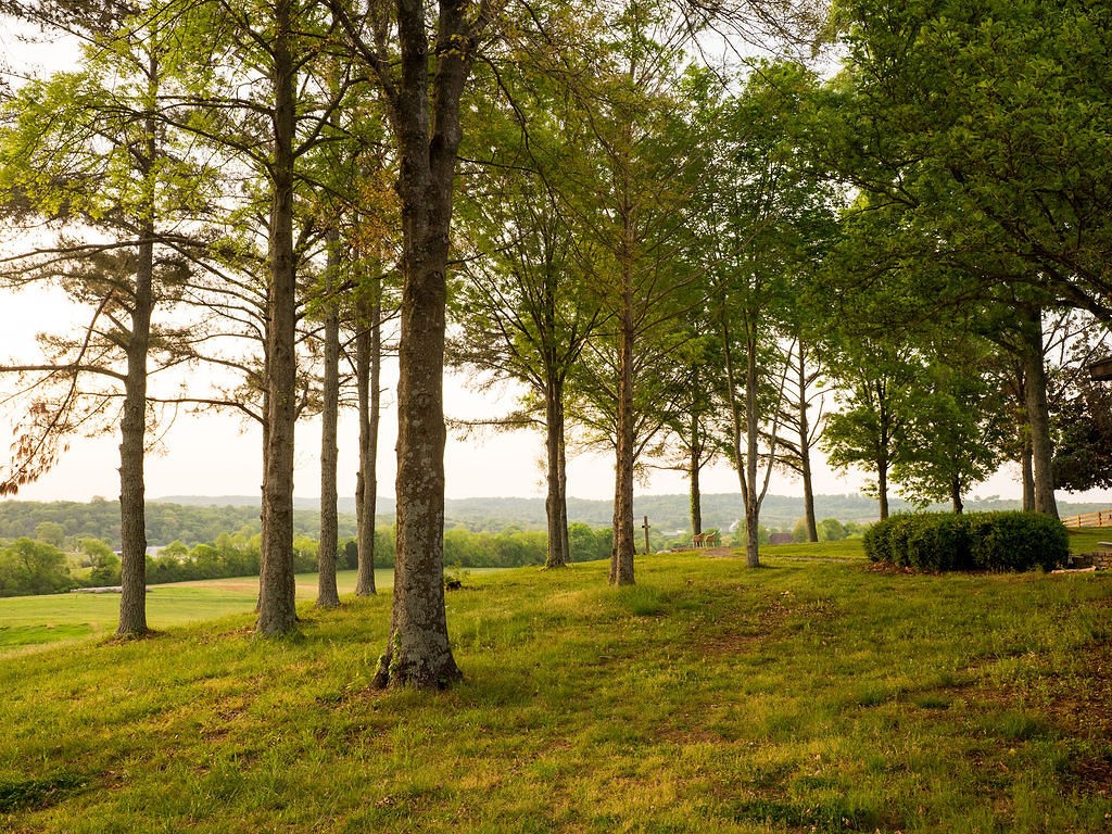 2311 Darks Mill Road Columbia, TN 38401 - Photo 94 of 97 Gallery Image 94