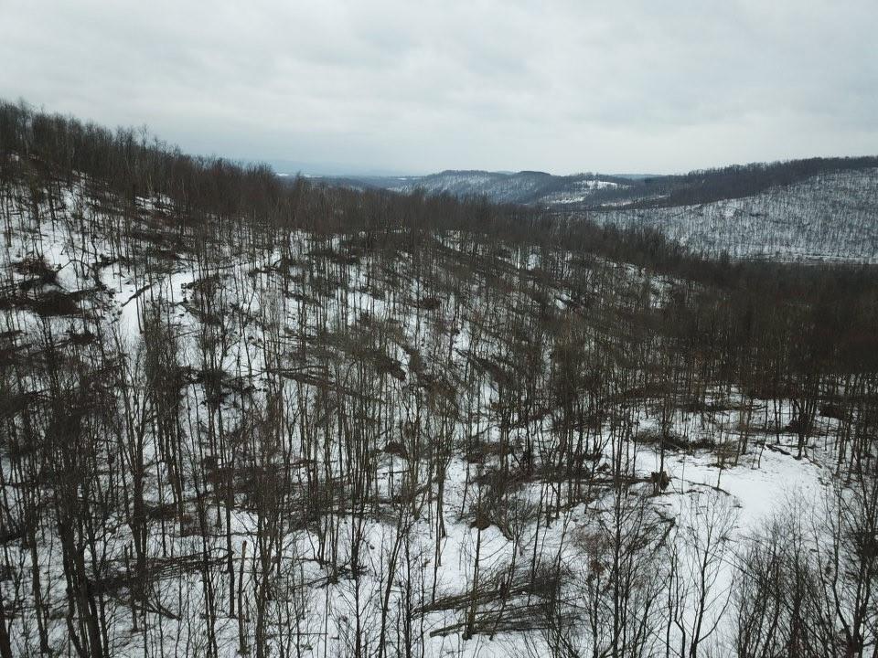 0 Jericho Road Robinson, PA 15949 - Photo 33 of 34 Gallery Image 33