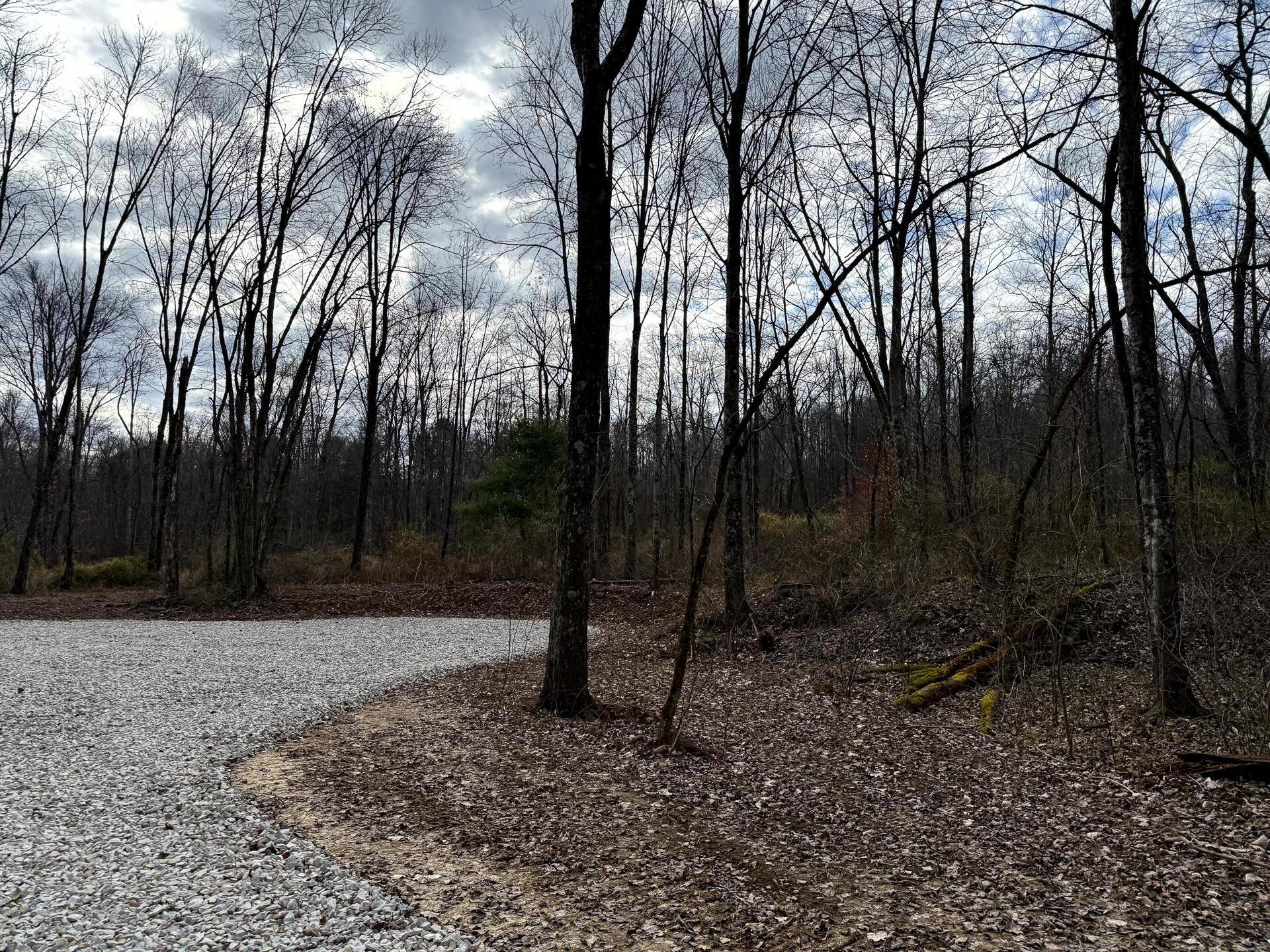 0 Dutch Ridge Road Southeast, Unit WOODS TURKEY RUN TRACT 4) New Lexington, OH 43764 - Photo 18 of 58 CT-18