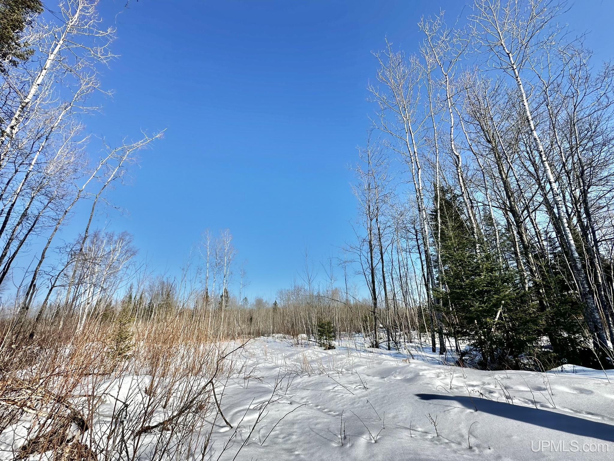8333 Solberg Lake Road Iron Mountain, MI 49801 - Photo 3 of 8