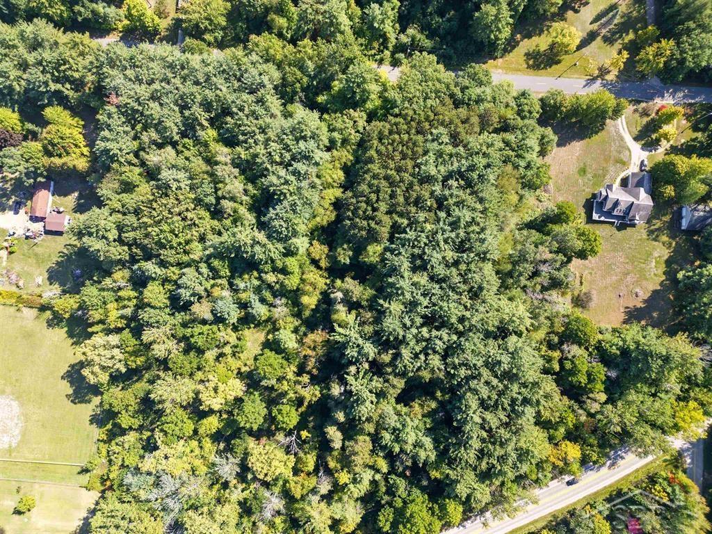Vl Sandy Ridge Drive Hope, MI 48628 - Photo 5 of 12