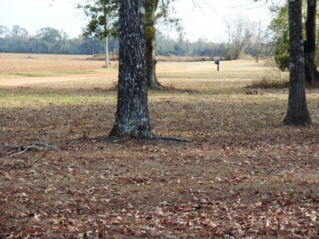 920 3 Notch Road Brewton, AL 36426 - Photo 29 of 31