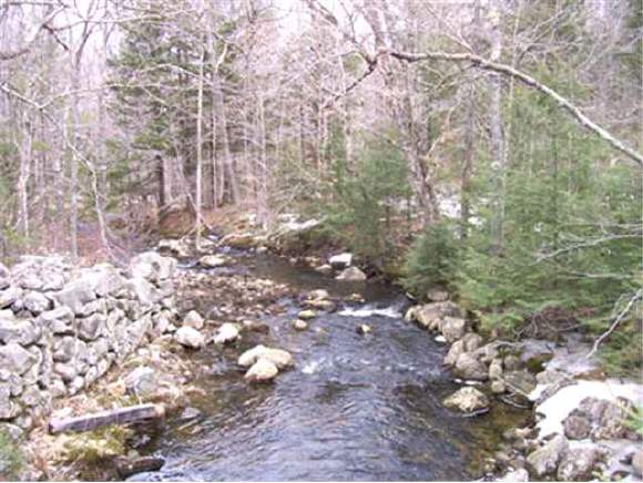 504 Beech Hill Road Campton, NH 03223 - Photo 1 of 9