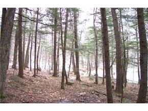 504 Beech Hill Road Campton, NH 03223 - Photo 4 of 9