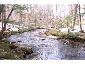 504 Beech Hill Road Campton, NH 03223 - Photo 5 of 9