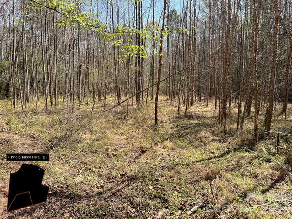 a view of backyard with wooden fence