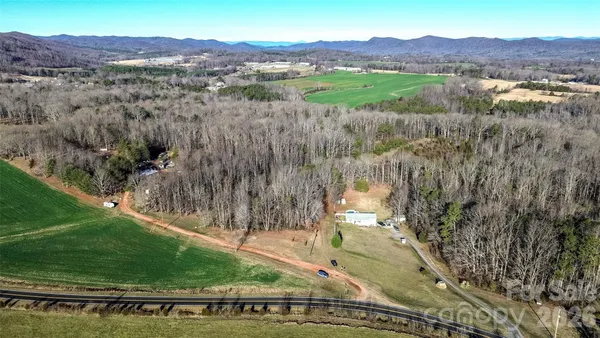 a view of a forest with a yard