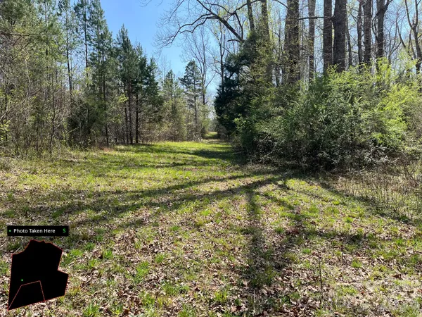 a view of a yard with an trees