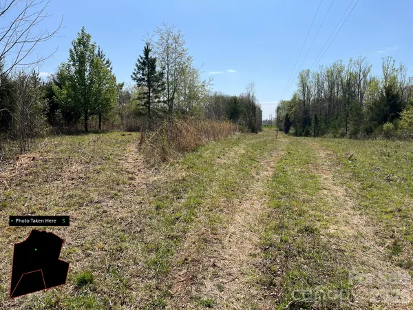 a view of a yard