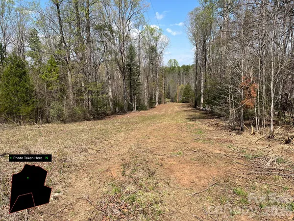 a view of open space with trees