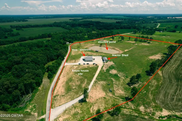 a view of a swimming pool with a garden