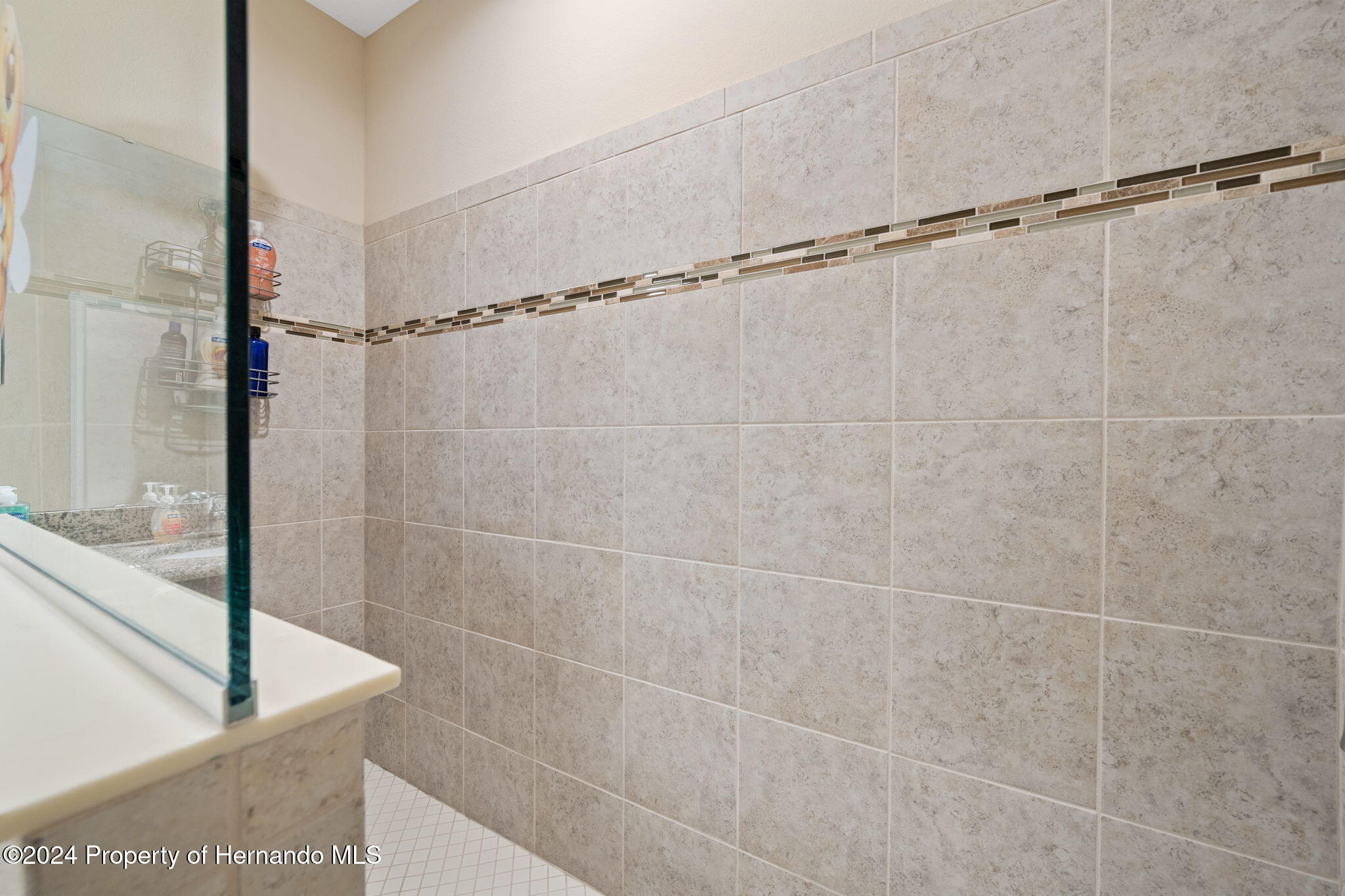 954 Old Windsor Way Spring Hill, FL 34609 - Photo 25 of 32 a bathroom with a shower