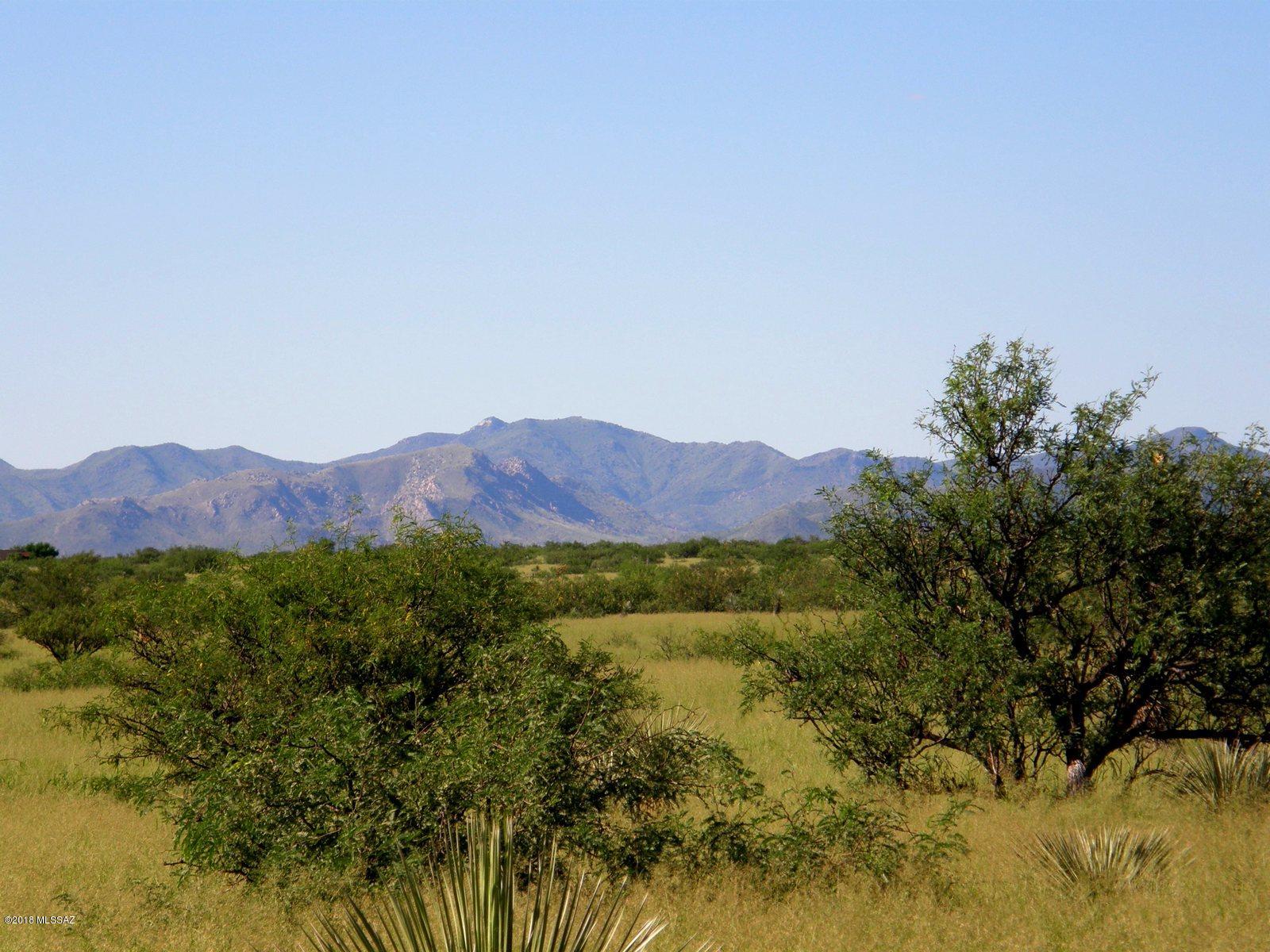 90 South Kino Road, Unit 90 St. David, AZ 85630 - Photo 4 of 16