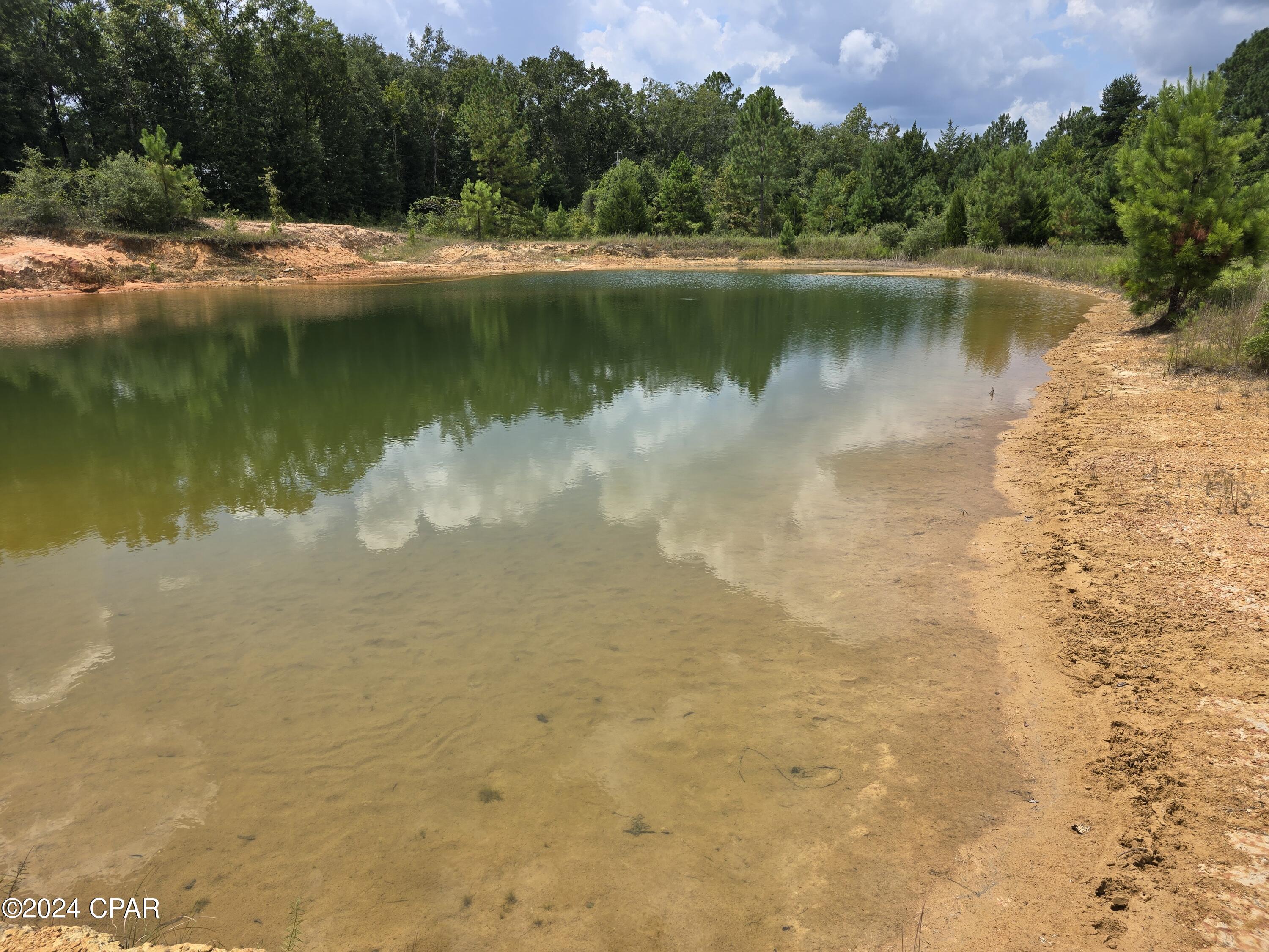 2412 J W Miller Road Bonifay, FL 32425 - Photo 9 of 42 Gallery Image 9
