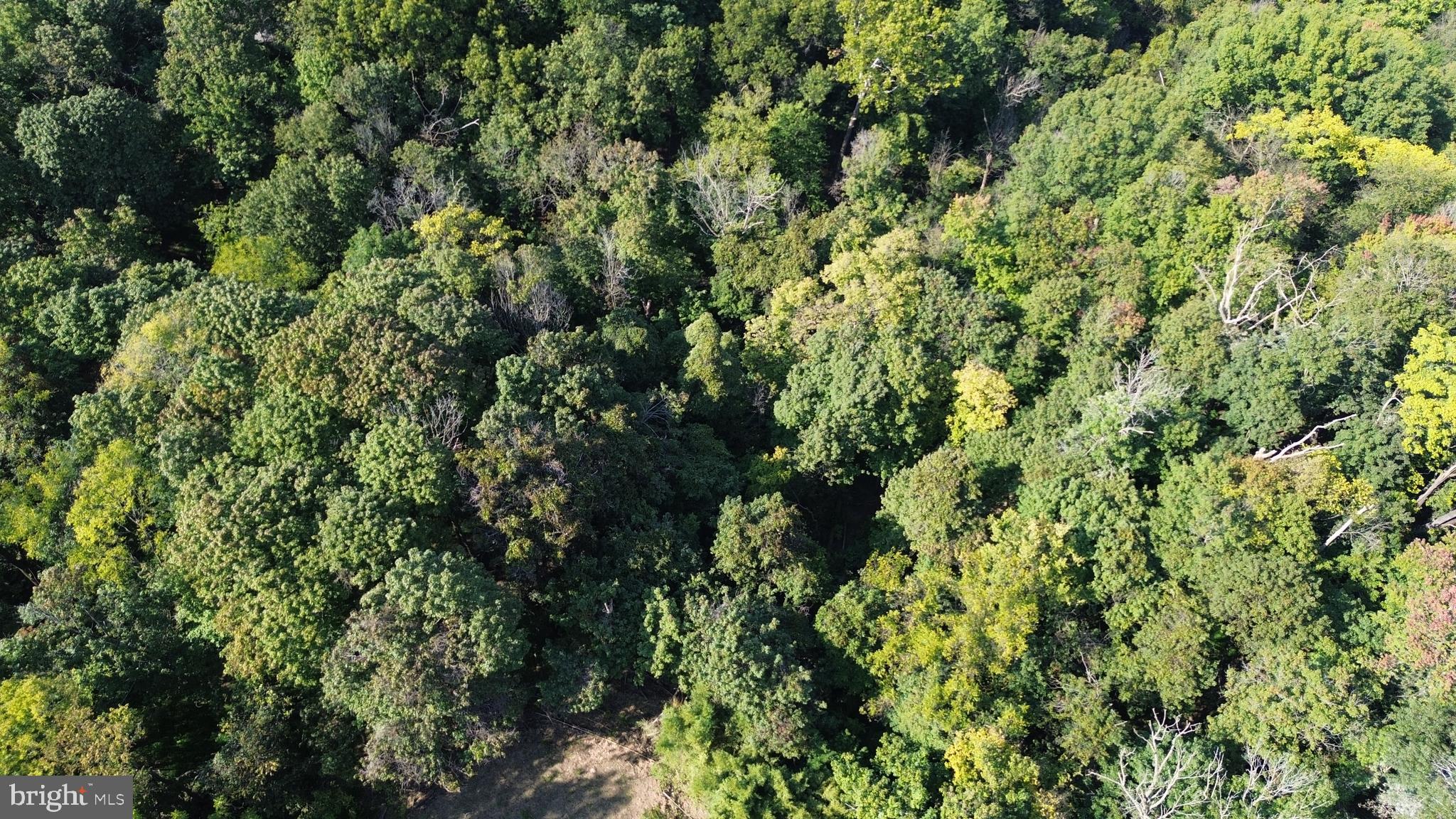 West Ridge Street Harpers Ferry, WV 25425 - Photo 11 of 11