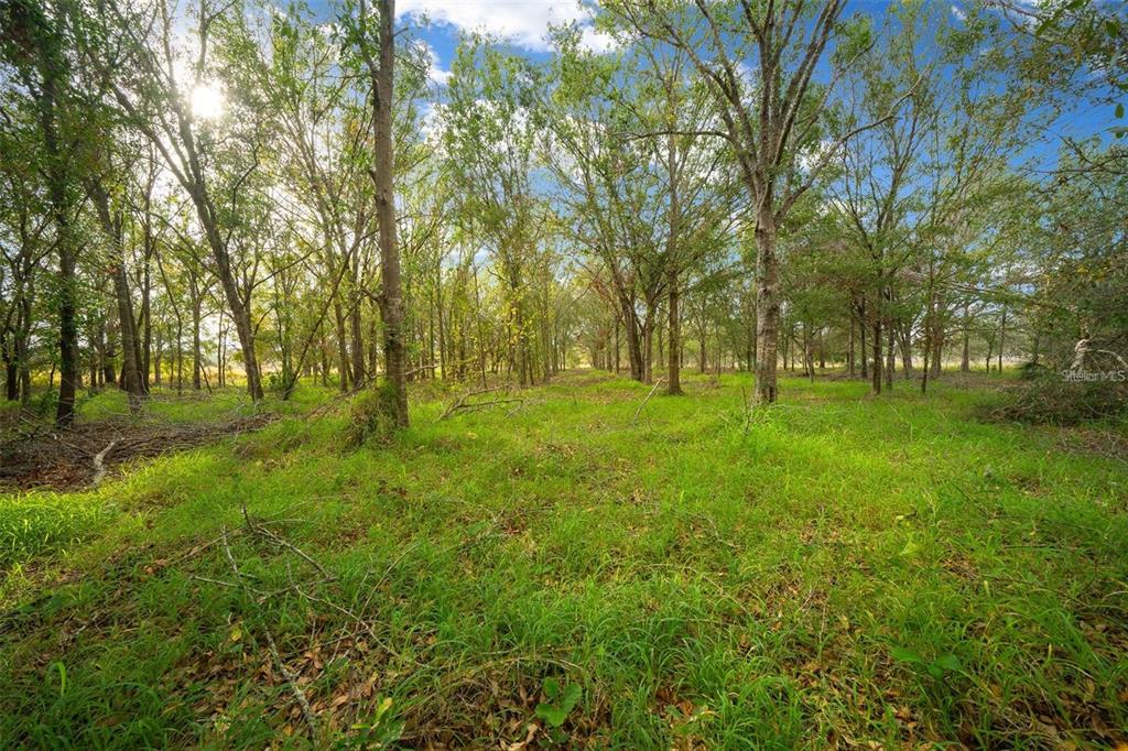 16211 Alderman Turner Road Wimauma, FL 33598 - Photo 1 of 1 Gallery Image 1