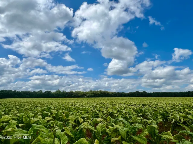 $456,450 | 4340 Coolwater Drive, Unit LOT 26, Bailey, NC 27807