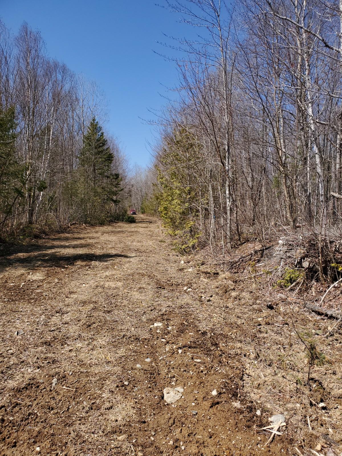 Lot 23 Allsbury Rd Mount Mount Chase, ME 04765 - Photo 3 of 6 20210424_114201