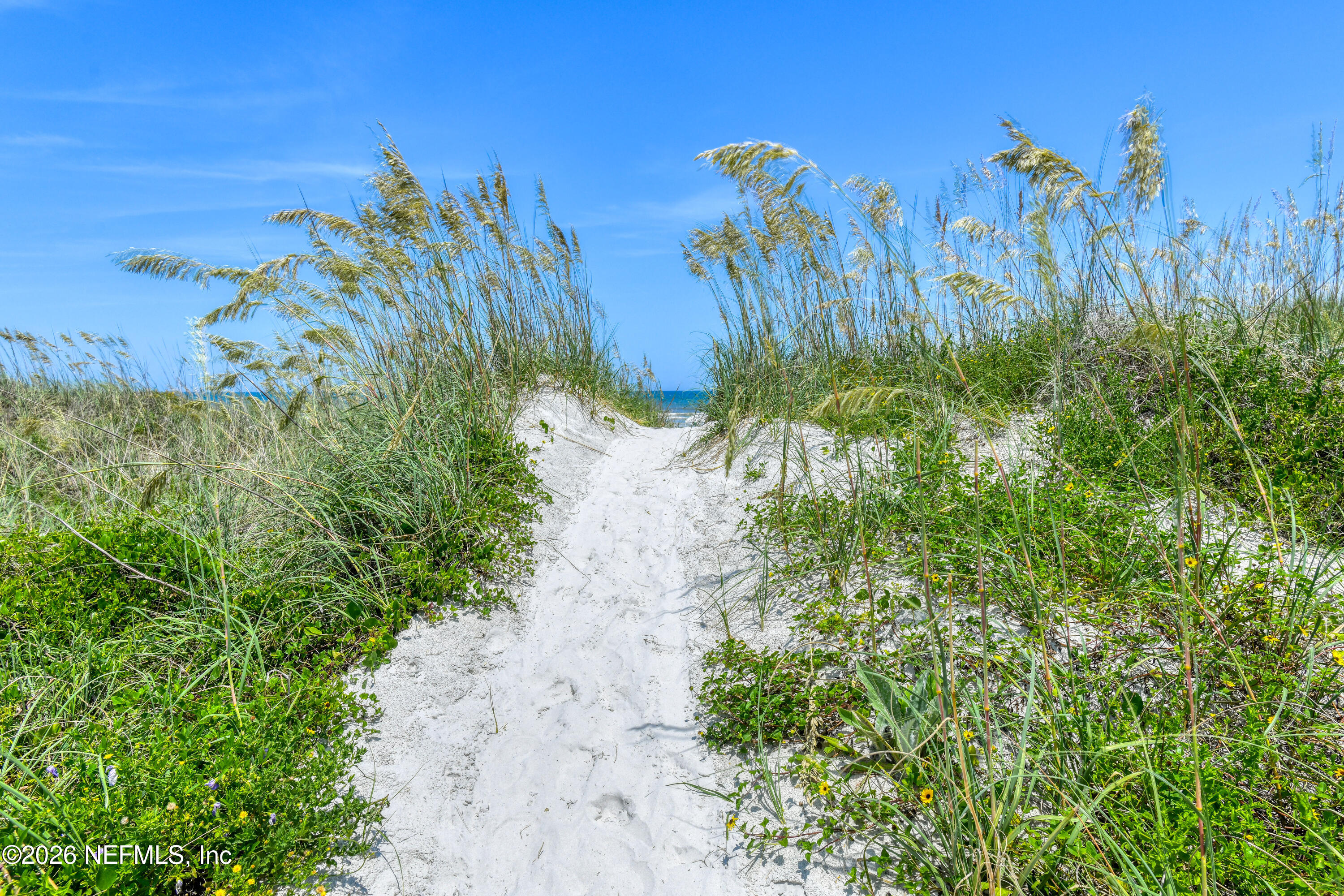 5485 Atlantic Road St. Augustine, FL 32080 - Photo 19 of 34 5485 Atlantic View PRINT HIGH RES-13