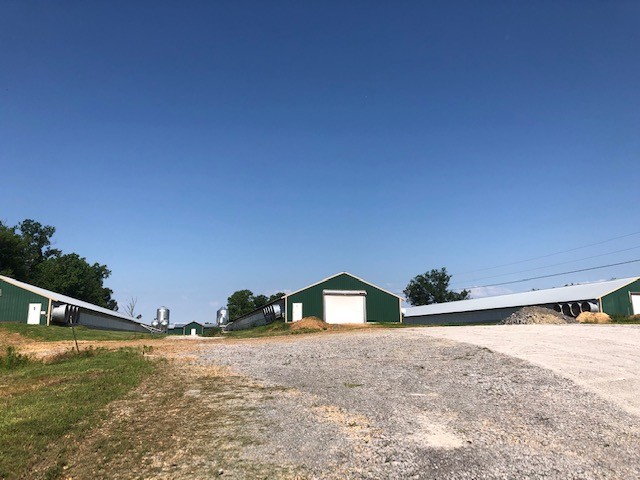 414 Lee Road Bell Buckle, TN 37020 - Photo 1 of 10 a view of outdoor space and yard