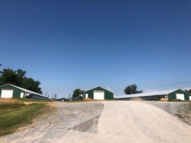 414 Lee Road Bell Buckle, TN 37020 - Photo 2 of 10 a view of outdoor space and yard