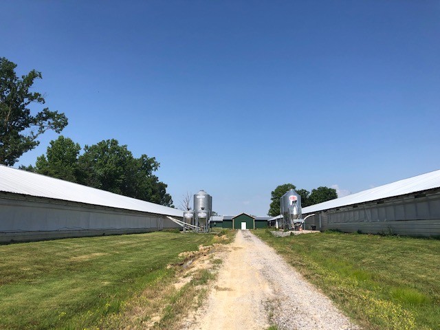 414 Lee Road Bell Buckle, TN 37020 - Photo 3 of 10 a swimming pool with yard