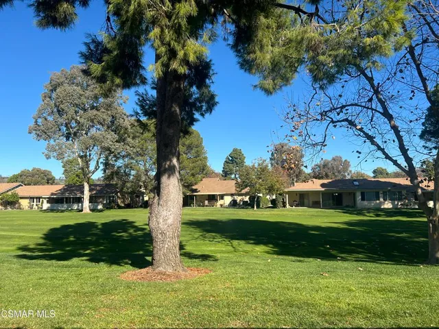 a view of a park with large trees