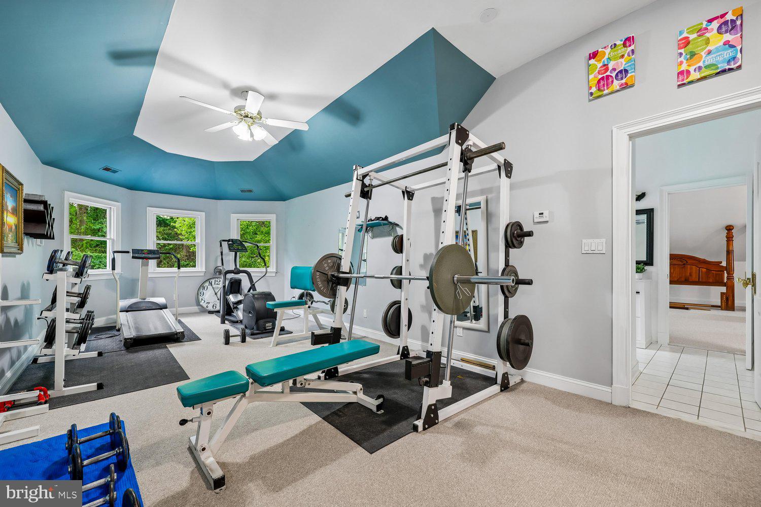 13120 Esworthy Road Potomac, MD 20854 - Photo 53 of 80 Loft Space - Pro Level Gym or Living Space