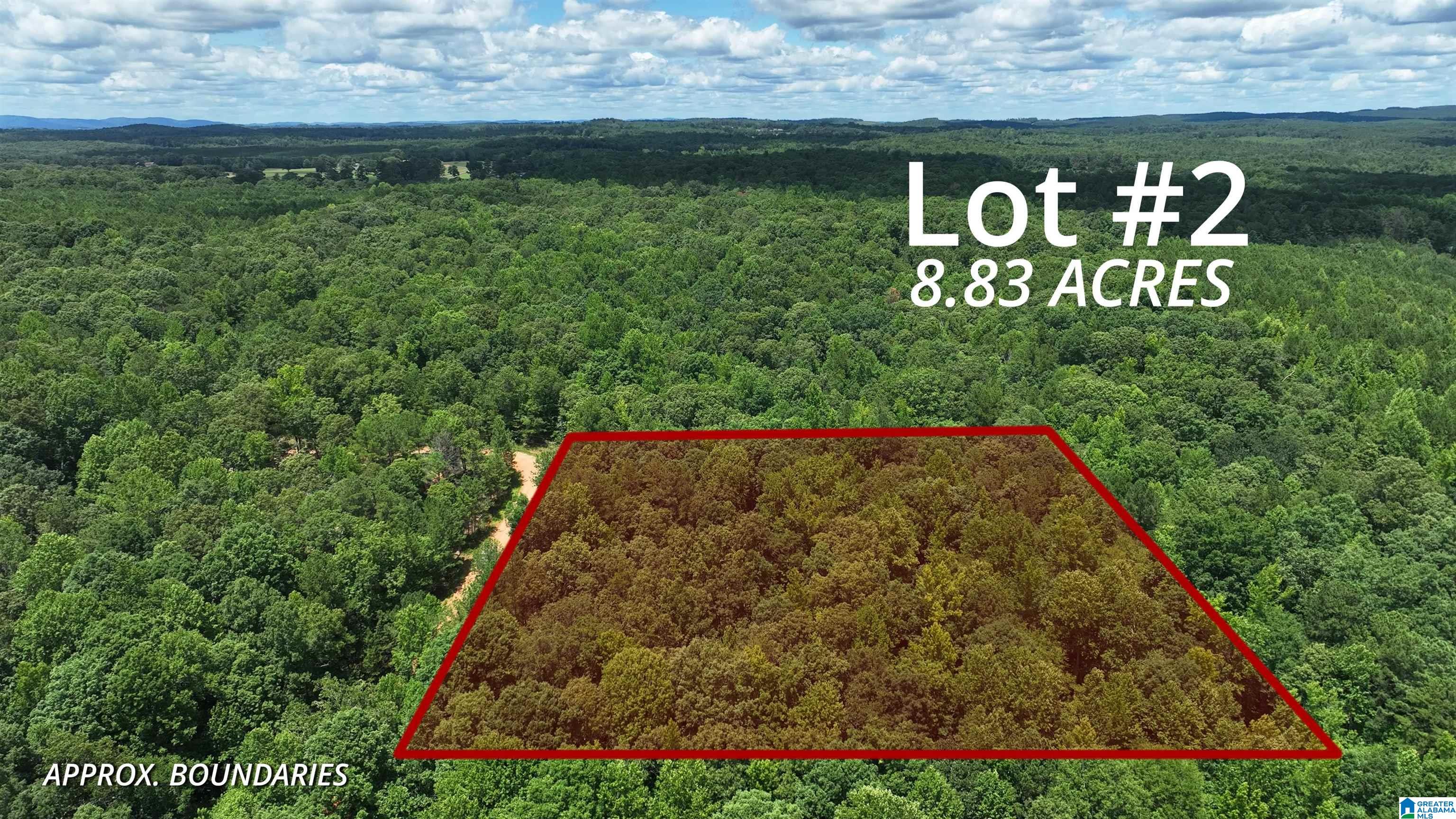 0 Pinetucky Lane Heflin, AL 36264 - Photo 3 of 16