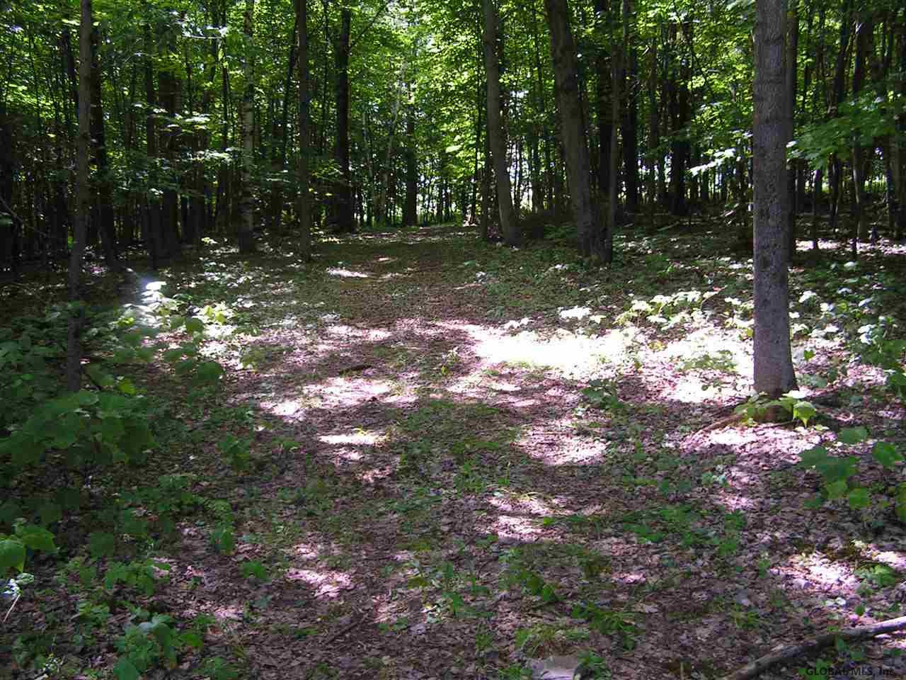 680 West Hill Road Worcester, NY 12197 - Photo 11 of 14 Photo 11