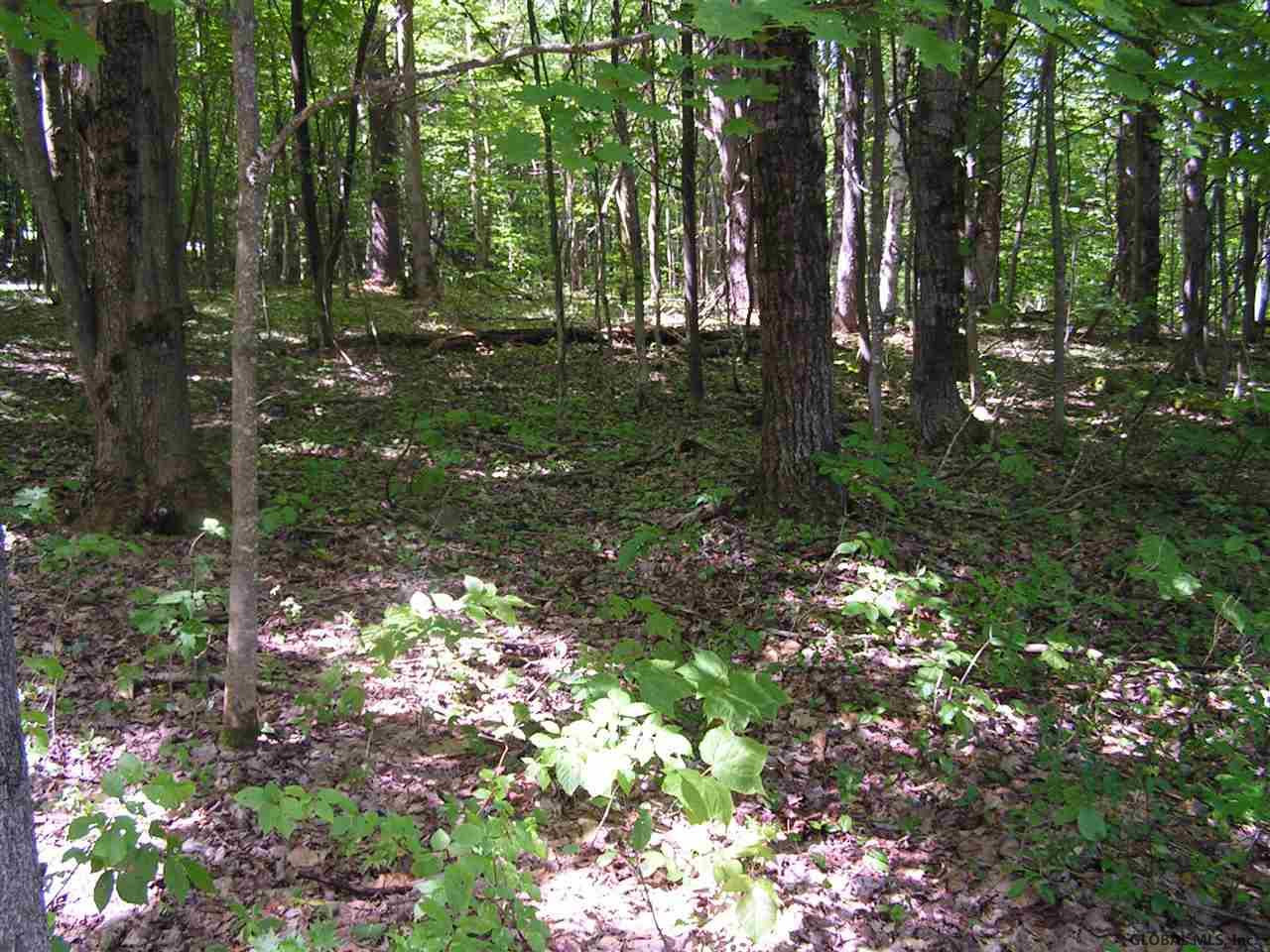 680 West Hill Road Worcester, NY 12197 - Photo 12 of 14 Photo 12