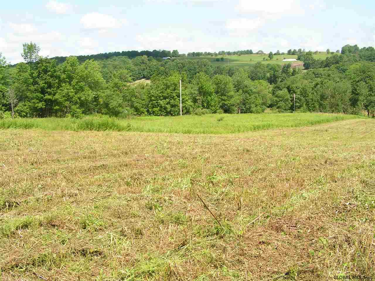 680 West Hill Road Worcester, NY 12197 - Photo 4 of 14 Photo 4