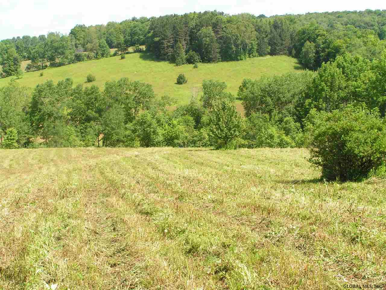 680 West Hill Road Worcester, NY 12197 - Photo 8 of 14 Photo 8
