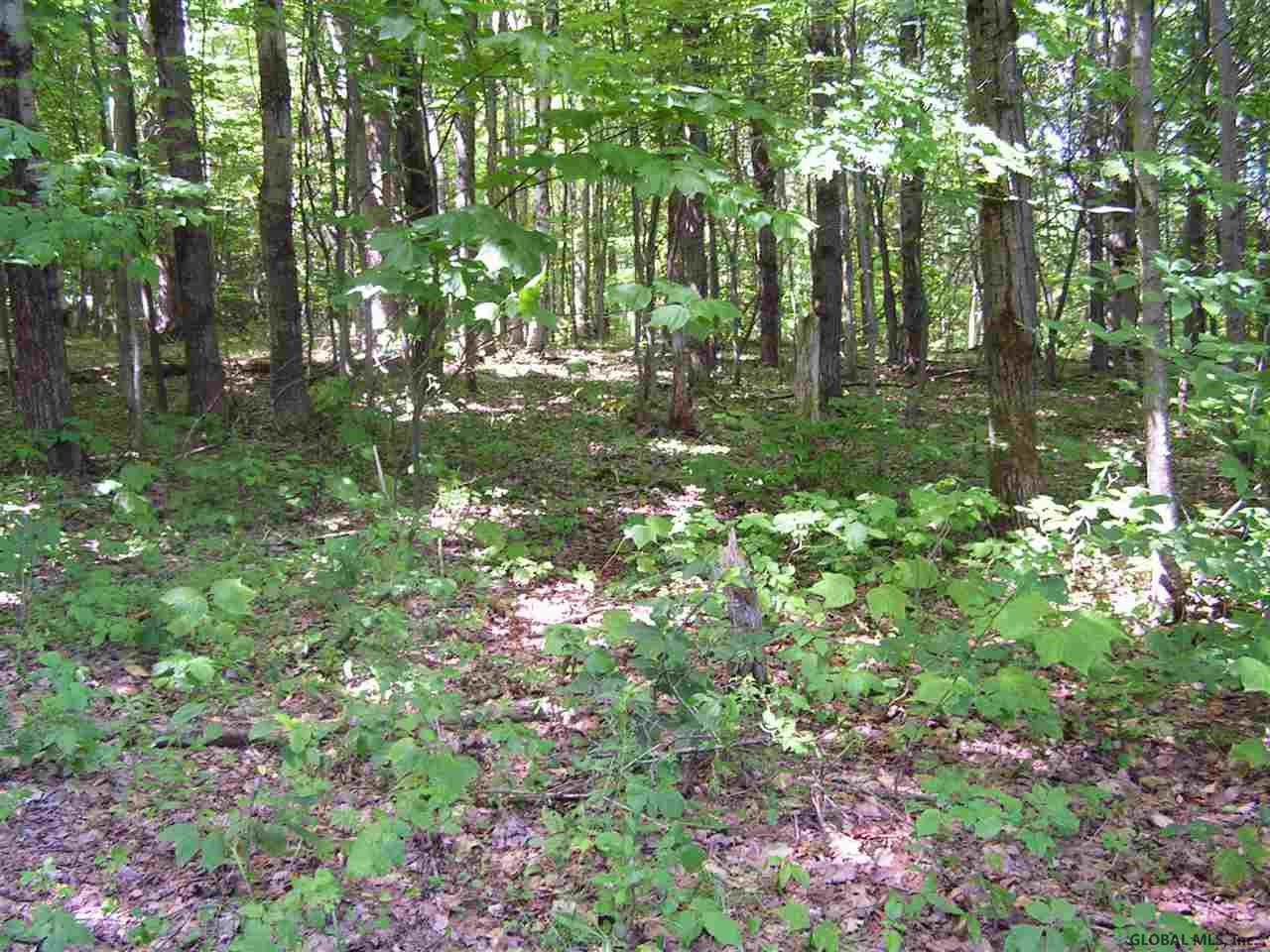 680 West Hill Road Worcester, NY 12197 - Photo 10 of 14 Photo 10