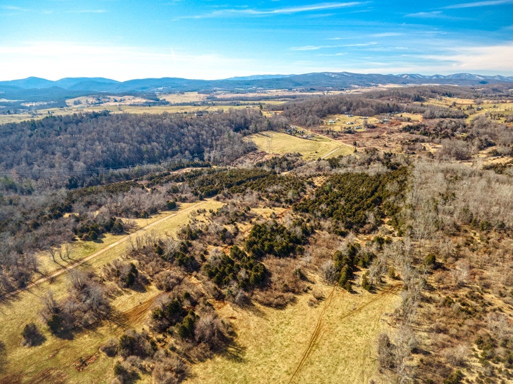 1604 Rickey Road Max Meadows, VA 24360 - Photo 61 of 73 Gallery Image 61