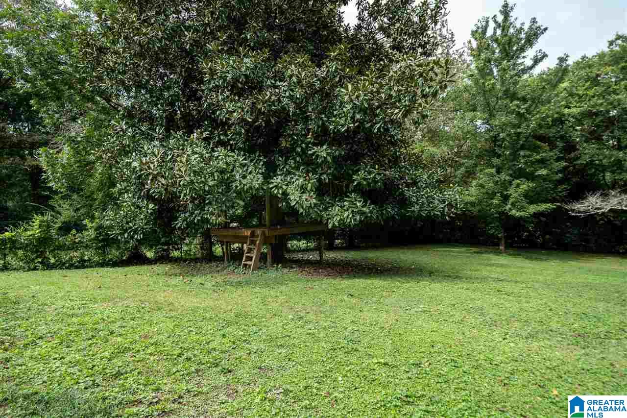 479 Ridge Road Birmingham, AL 35206 - Photo 42 of 45