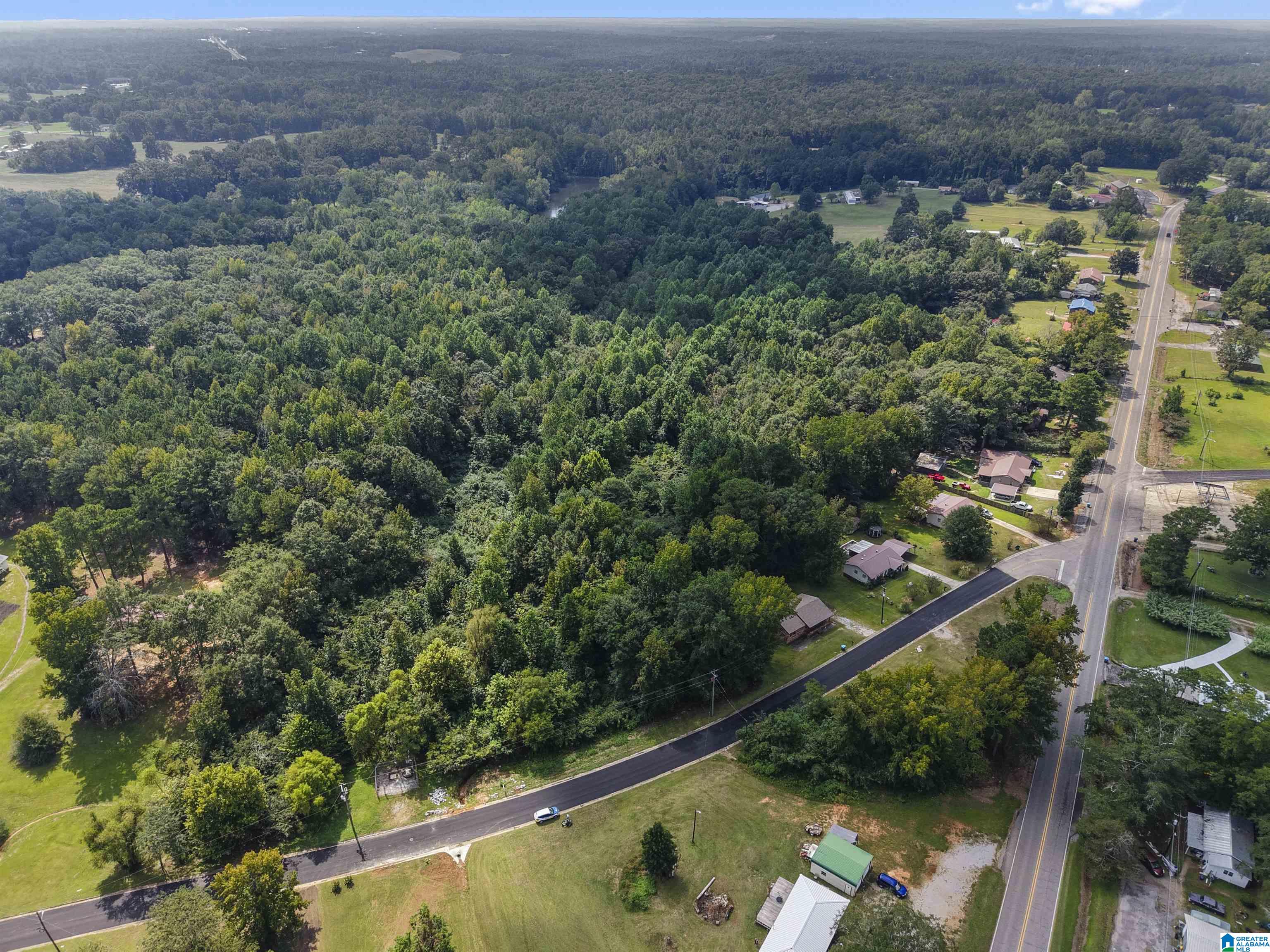 0 Sycamore Street, Unit 1 Jemison, AL 35085 - Photo 15 of 25
