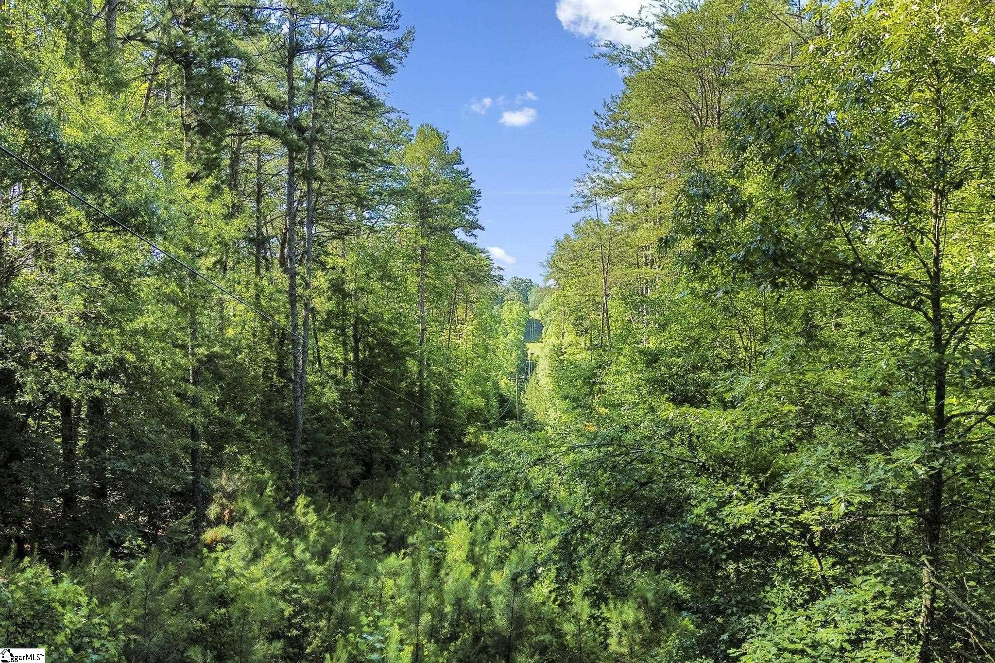 196 Raines Road Easley, SC 29640 - Photo 25 of 41