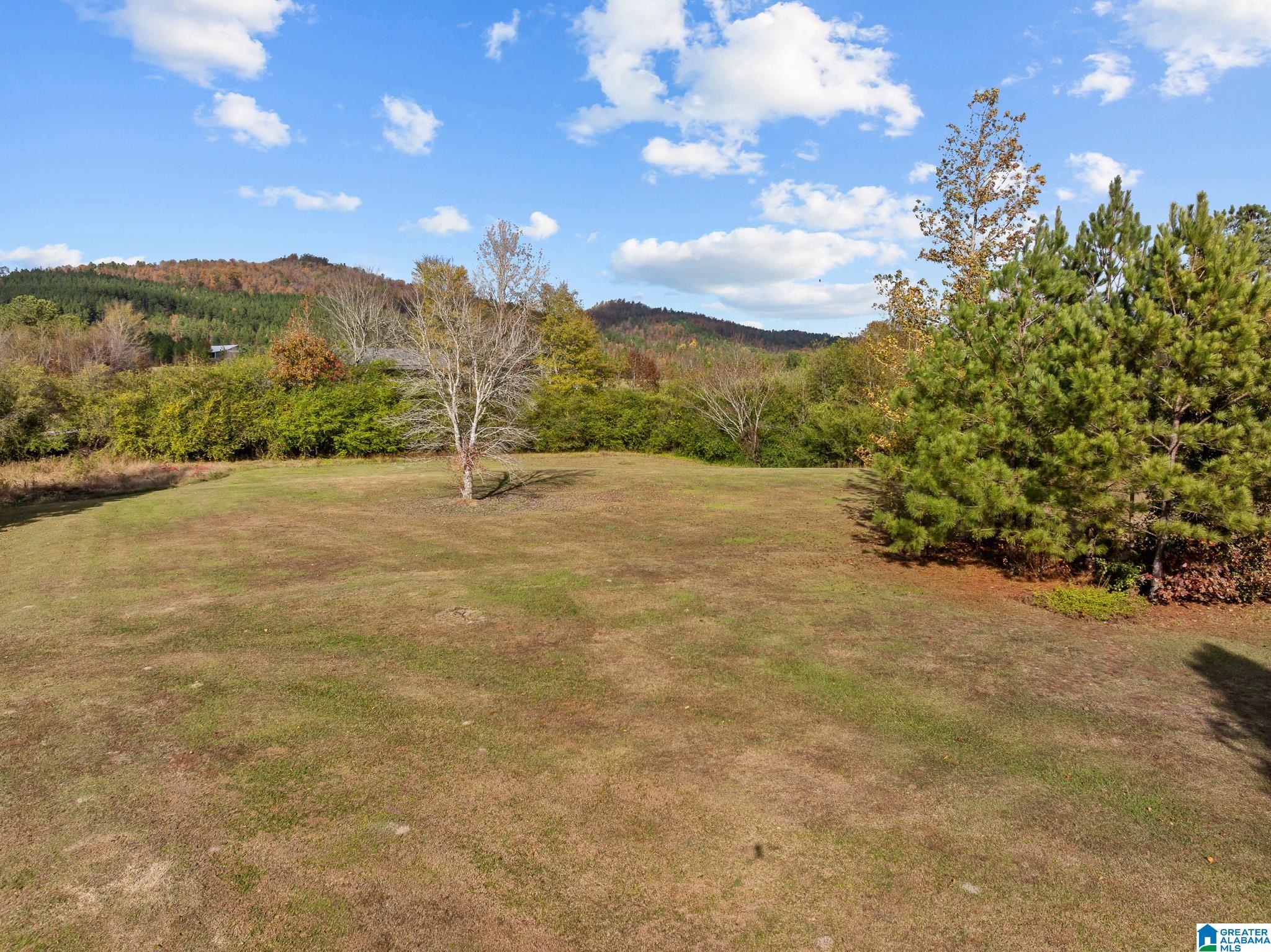 0 Armstrong Road, Unit 1 Ashville, AL 35953 - Photo 10 of 12