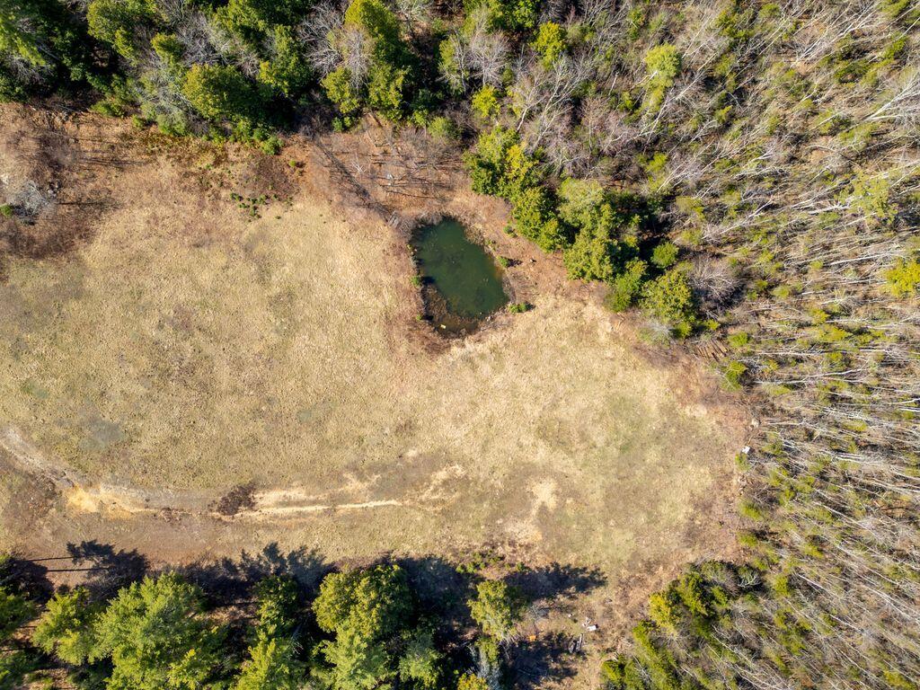 165 Tripp Lake Road Poland, ME 04274 - Photo 45 of 57 65_DJI_0909