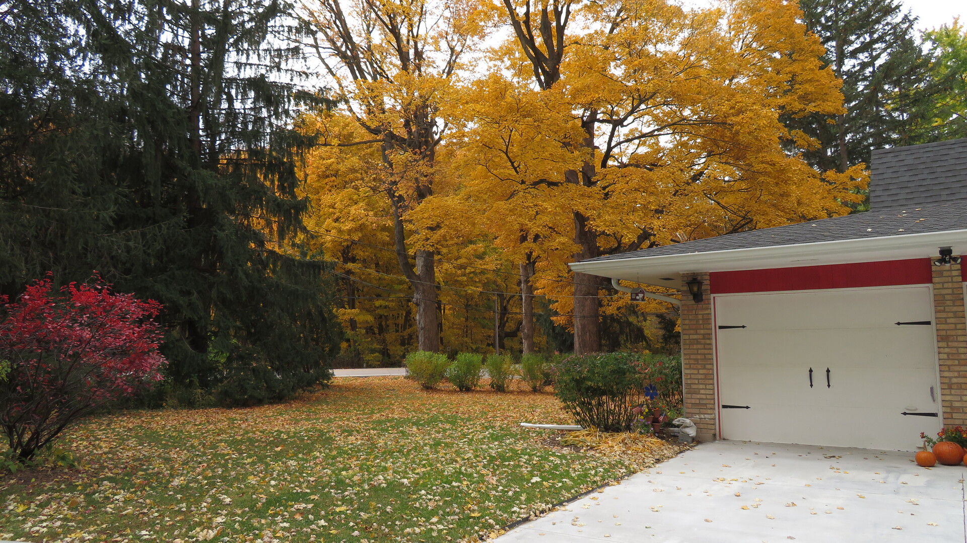 42W490 Kedeka Road Sugar Grove, IL 60554 - Photo 3 of 30 a view of a house with a yard