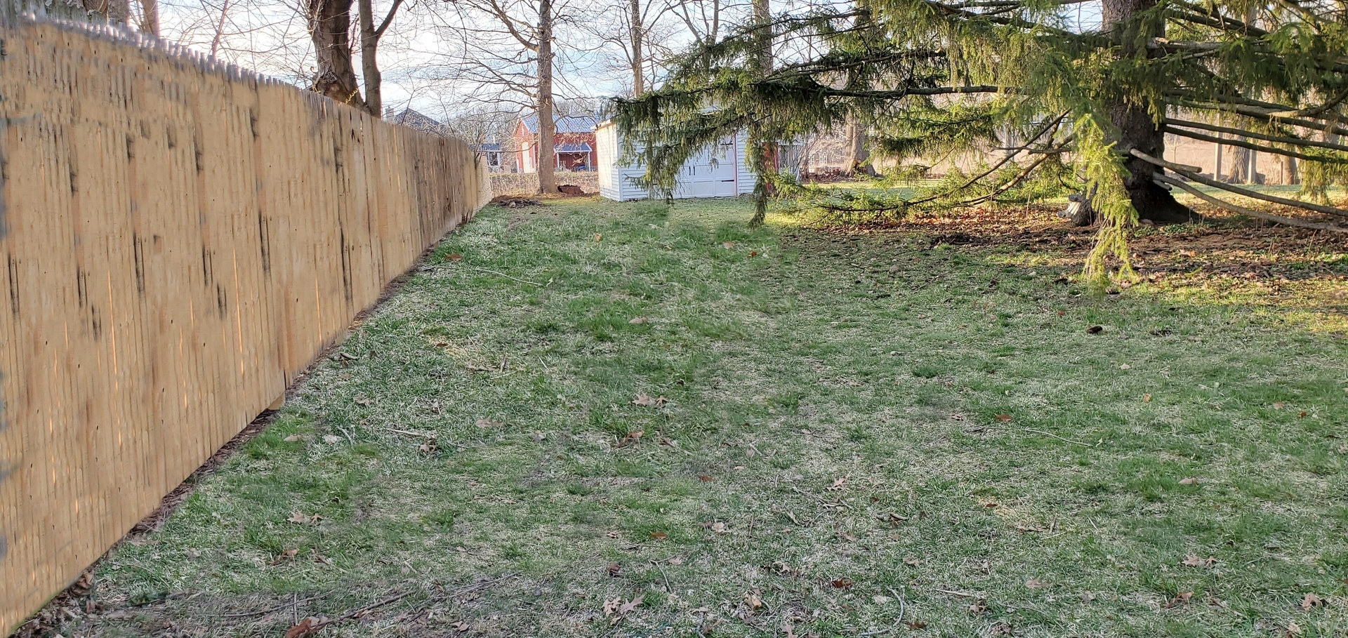 42W490 Kedeka Road Sugar Grove, IL 60554 - Photo 9 of 30 a view of a yard with plants and trees