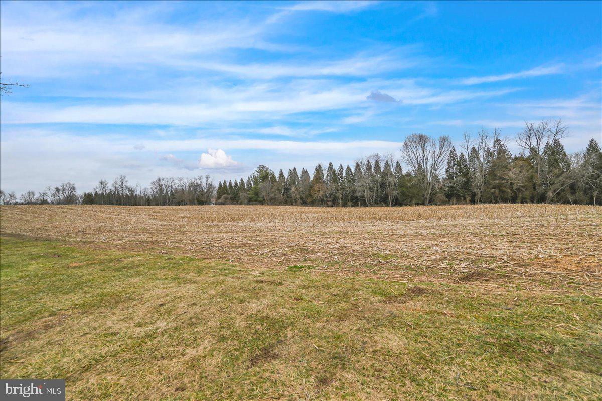4353 Nusbaum Road Taneytown, MD 21787 - Photo 50 of 60 Gallery Image 50
