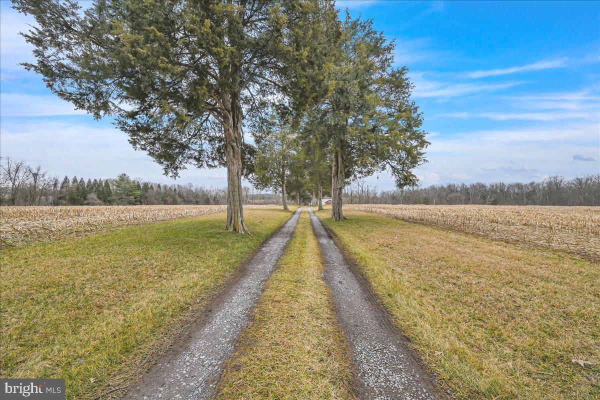 4353 Nusbaum Road Taneytown, MD 21787 - Photo 51 of 60 Gallery Image 51