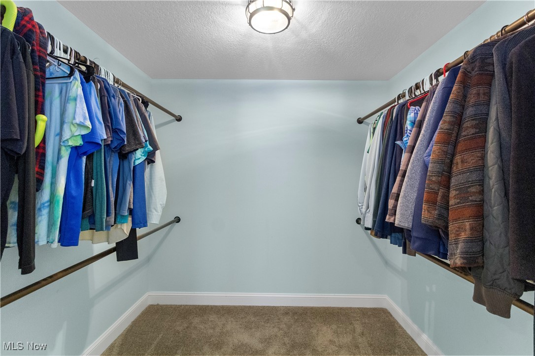 4694 Heather Hills Road Akron, OH 44333 - Photo 11 of 32 Spacious closet with carpet