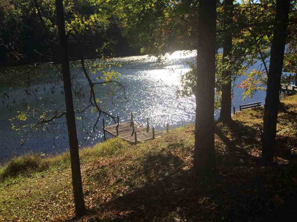 257 Lake Cheohee Road Tamassee, SC 29686 - Photo 30 of 35 Gallery Image 30