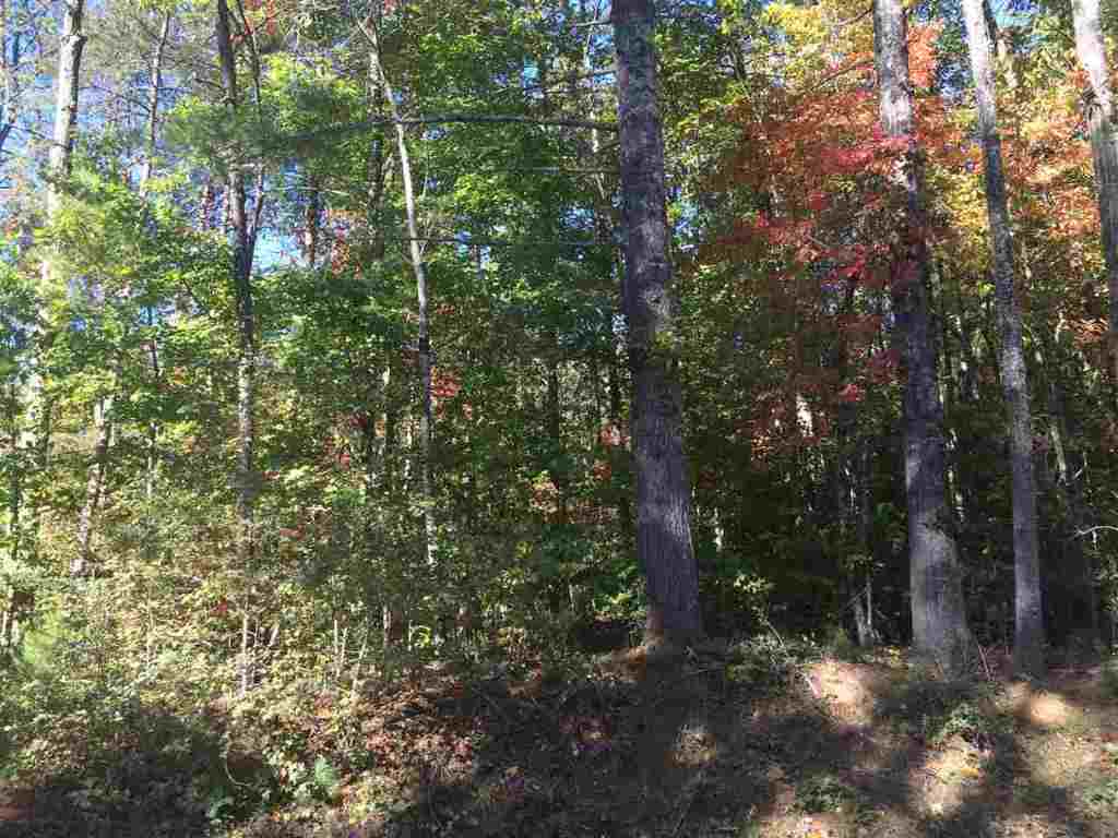 257 Lake Cheohee Road Tamassee, SC 29686 - Photo 35 of 35 Gallery Image 35