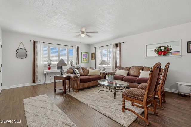 a living room with furniture a rug potted plant and a window