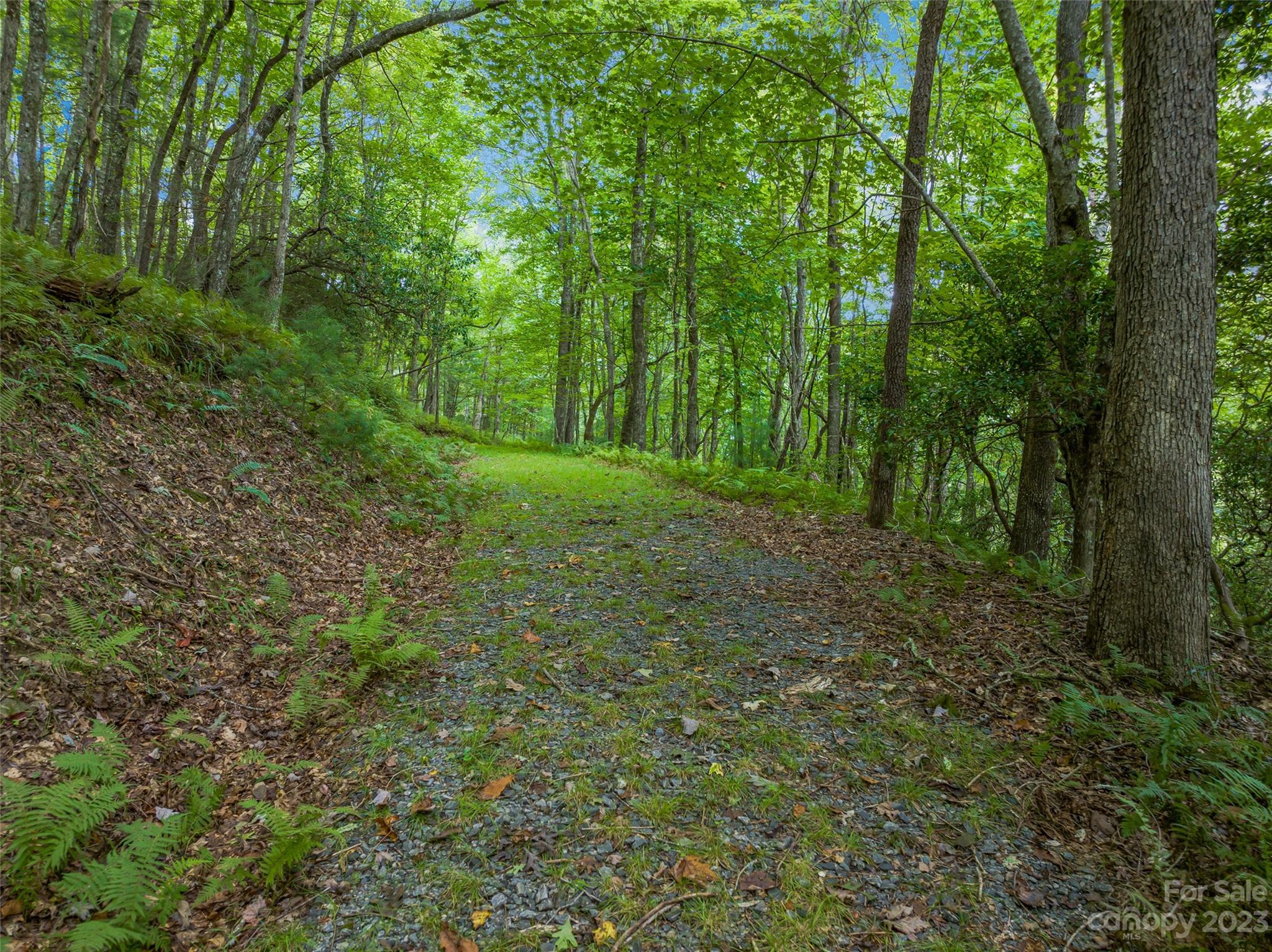1830 Reasonover Road Cedar Mountain, NC 28718 - Photo 36 of 46 Gallery Image 36