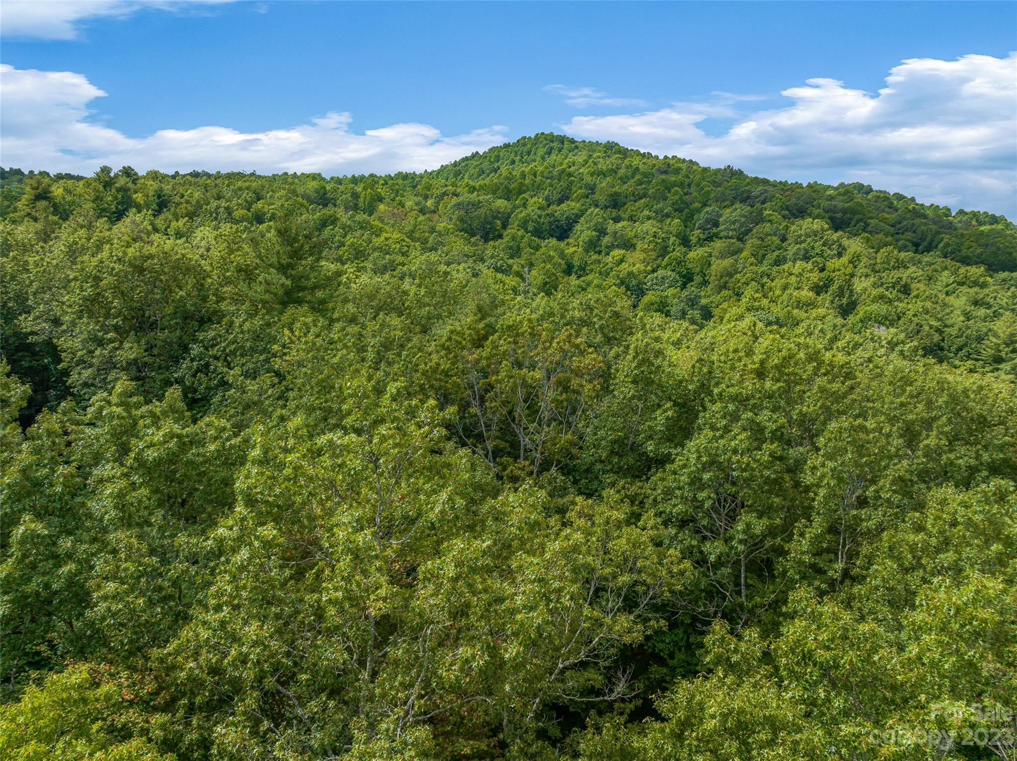 1830 Reasonover Road Cedar Mountain, NC 28718 - Photo 38 of 46 Gallery Image 38